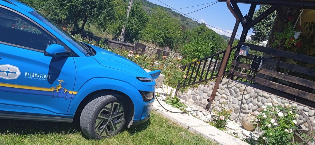 Pensiunea Gradinarilor cu ciubăr și stație de încărcare electrică auto Comanesti  Extérieur photo
